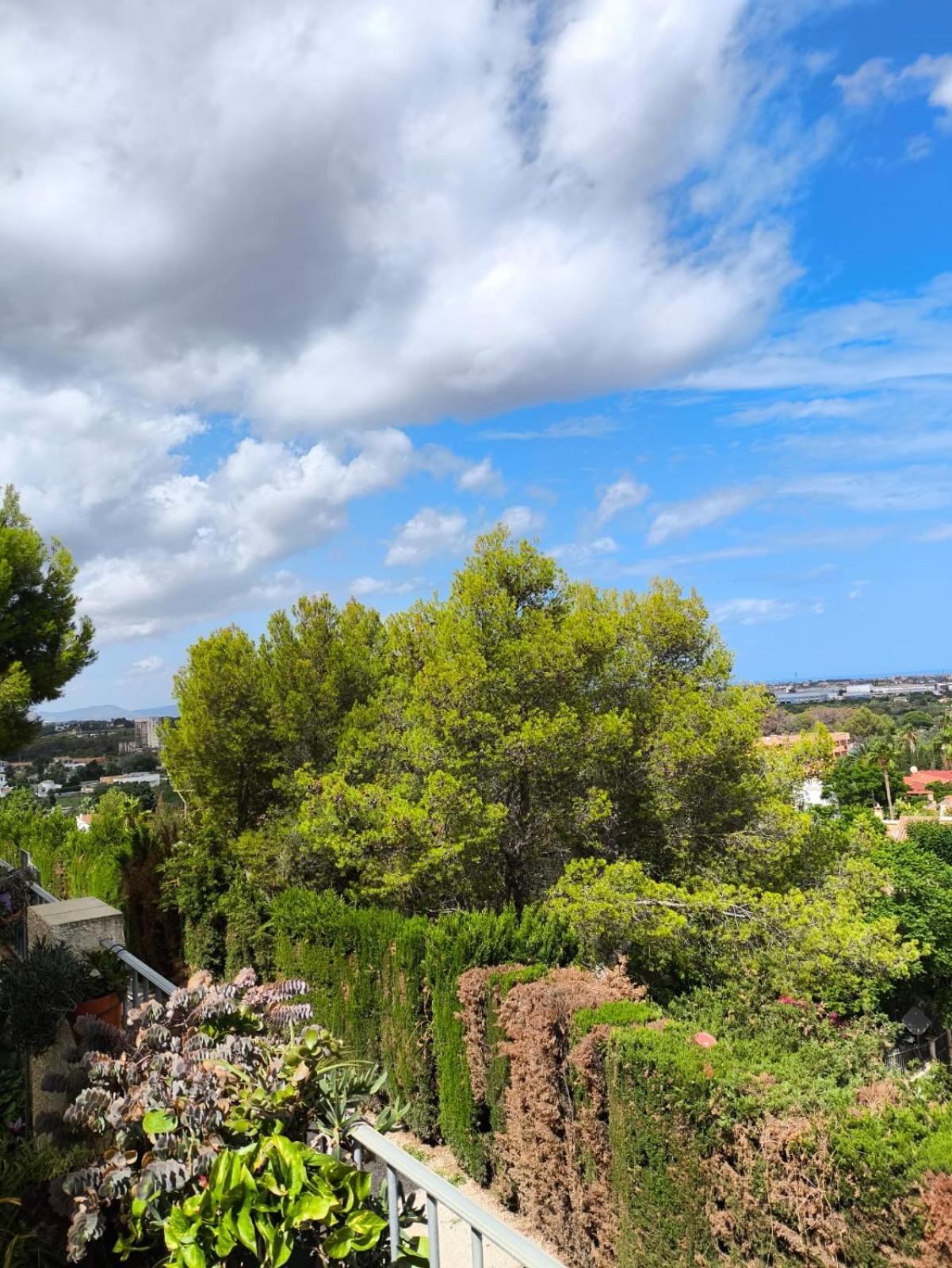 Apartemento Monika Monte Pedrera C 5 TOP Aussicht Dénia Esterno foto
